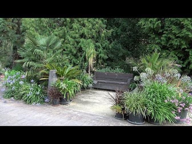 A Hidden Garden  Exotic Planting and Beautiful Borders