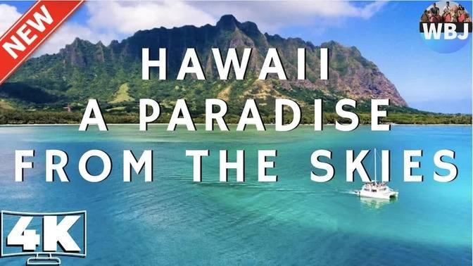 HAWAII - VIEWS FROM THE SKY! DRONE VIEW 4K - WAIKIKI BEACH - HONOLULU ...