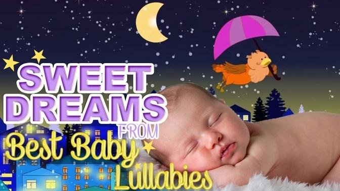 8 HOURS Lullaby Baby Songs & Sleep Music For Babies Toddlers, Newborns ...