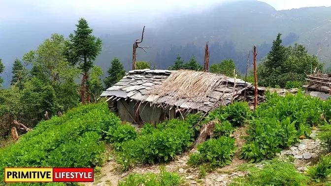 Beautiful Nepali Mountain Village Simple Happy Lifestyle | Rural Nepal Quest | Nepali Village Life