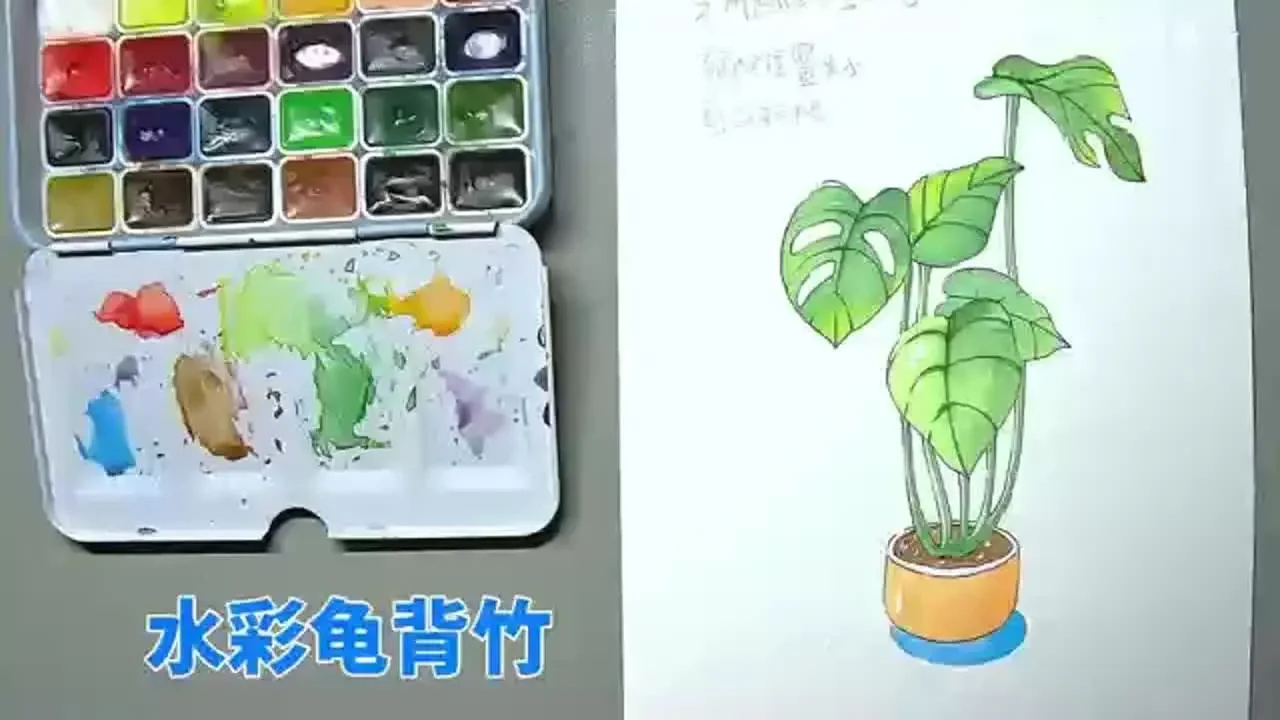 简单的水彩龟背竹