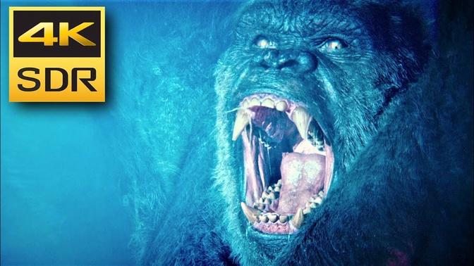 4K Trailer ● Godzilla vs Kong