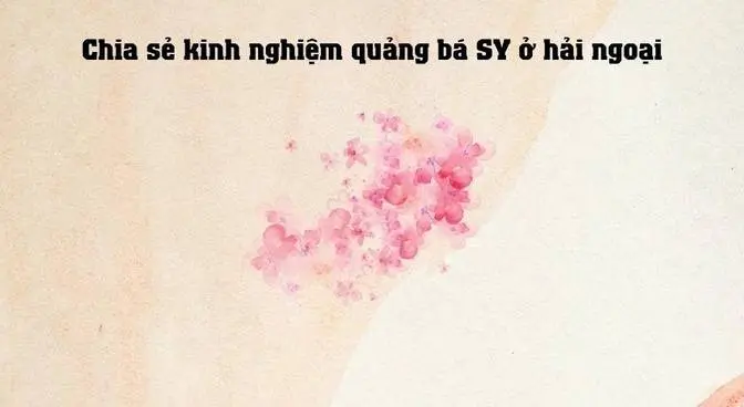 Một số kinh nghiệm quảng bá SY ở hải ngoại - 6