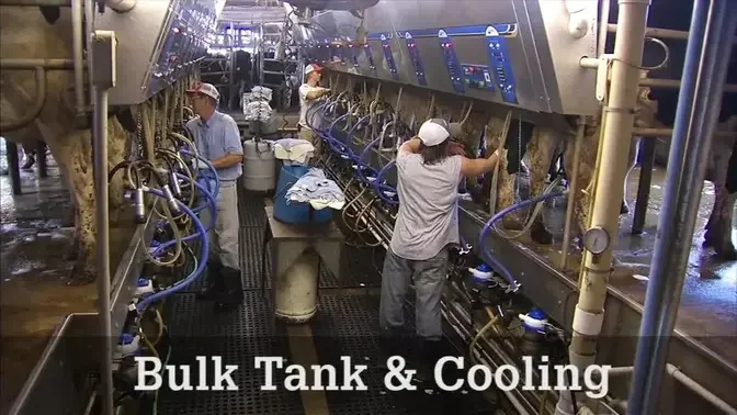 Bulk Tank and Cooling