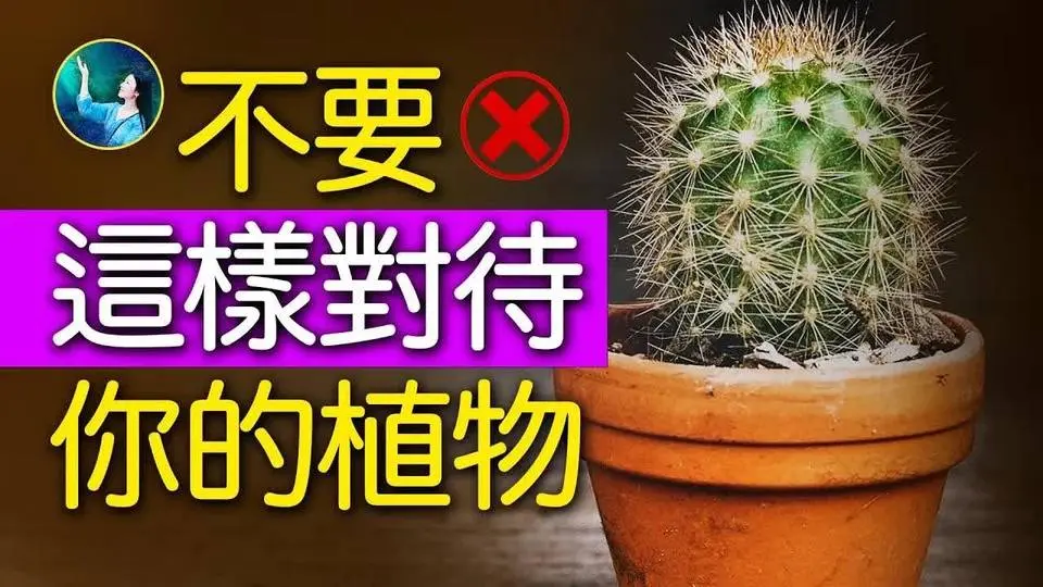 🔥乾淨世界獨家：不要這樣對待你的植物！它很脆弱？你身體上的細胞，竟然擁有你的大腦思維？| #未解之謎 扶搖