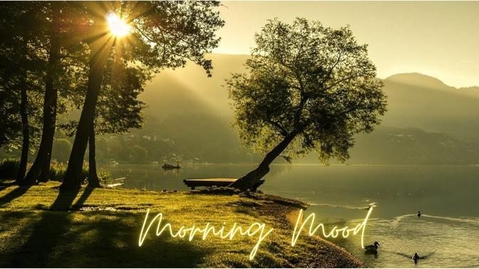 Edvard Grieg - Peer Gynt - Morning Mood [HQ] - Beautiful, iconic & relaxing morning music,
