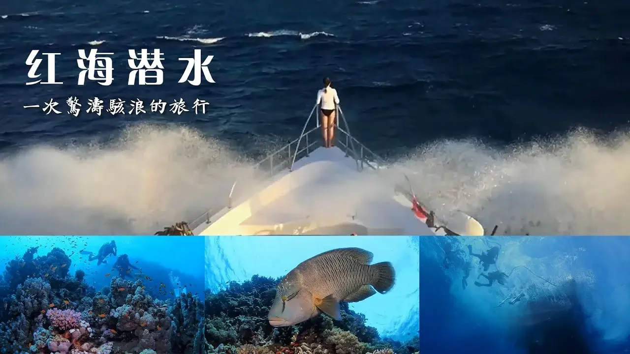 埃及红海潜水，一次惊心动魄的探险旅程（下集）Egyptian Red Sea diving, a thrilling adventure