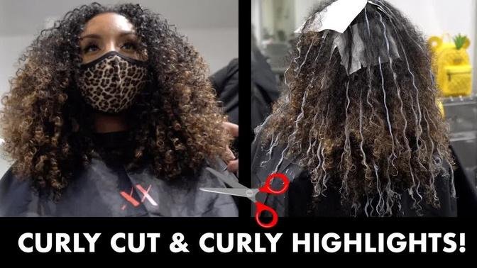 Curly Hair Cut/ Dusting + Curly Highlights! |  BiancaReneeToday