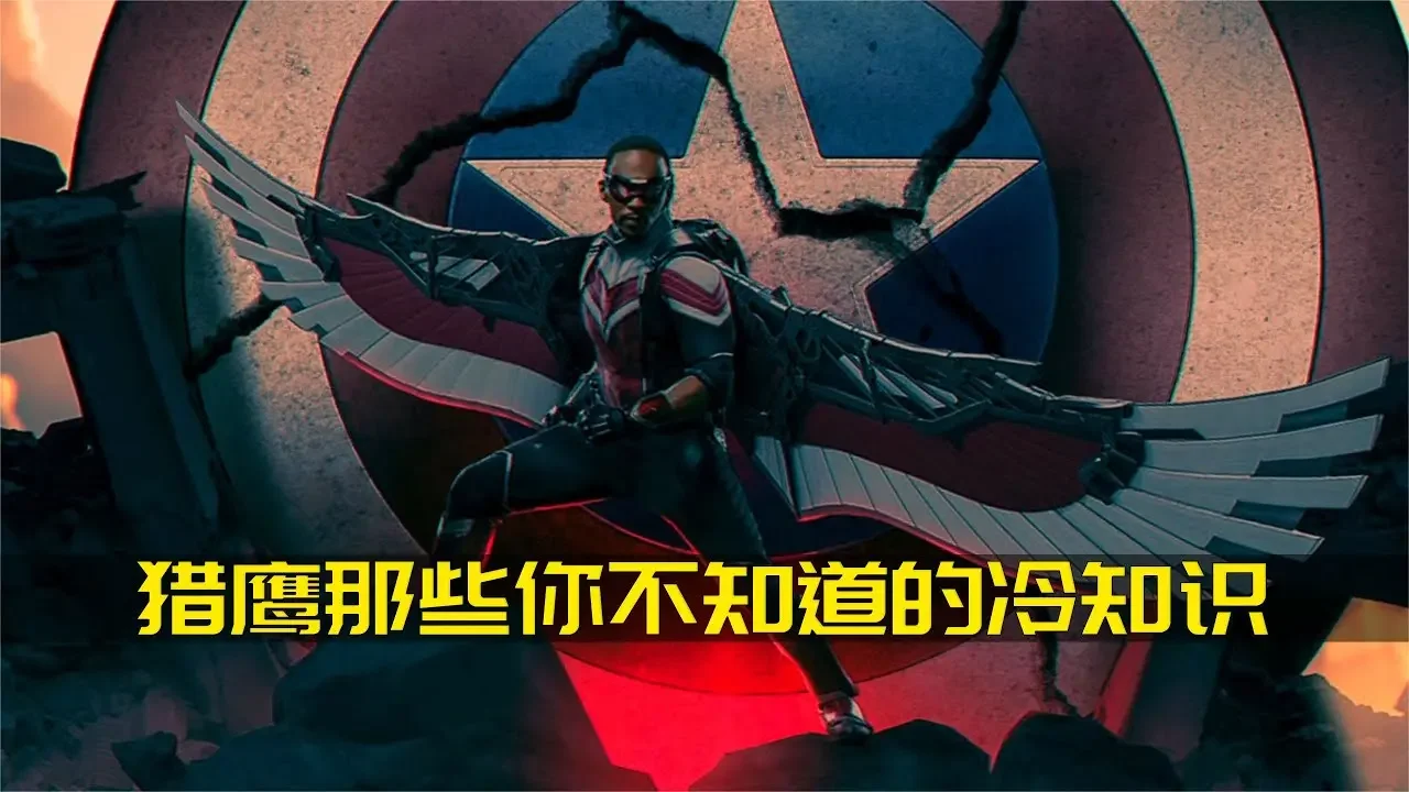 揭秘獵鷹：令人驚嘆的冷知識，讓你大開眼界 #故事 #冷知識