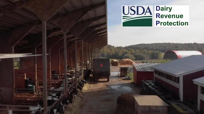 USDA Dairy Revenue Protection Program