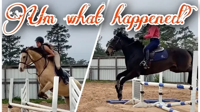 Short Horseback riding videos with fun courses and big jumps 