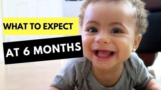 6 Month Developmental Milestones   Baby Developmental Milestones