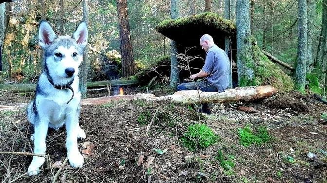 Primitive LeanTo Bushcraft Shelter - Natural Materials, Extended Roof, BBQ, DIY Chair