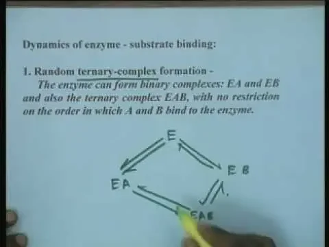 Lecture - 12 Kinetics of Bi substrate Enzyme