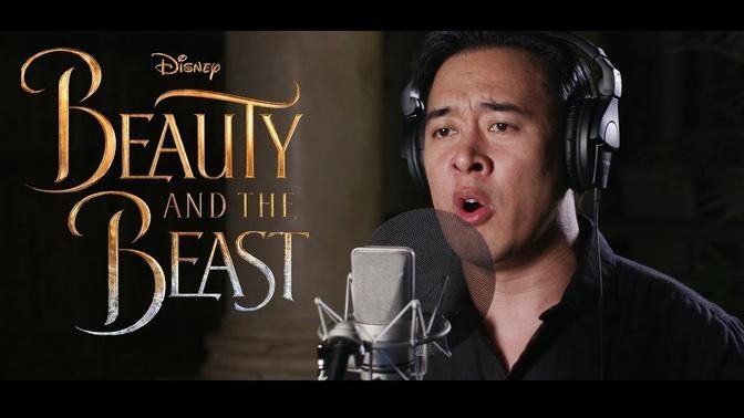 EVERMORE - Beauty and the Beast - Josh Groban (DTSings Cover)