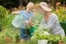 Tips for spruce up your garden
