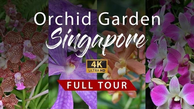 National Orchid Garden Singapore _ Full Tour | Almira MP