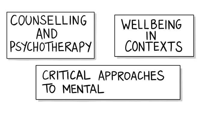 The Psychology of Health and Wellbeing (PHeW) research strand