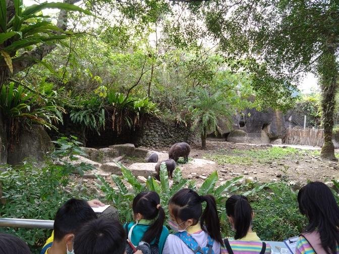 育儿时光：动物园里的校外教学