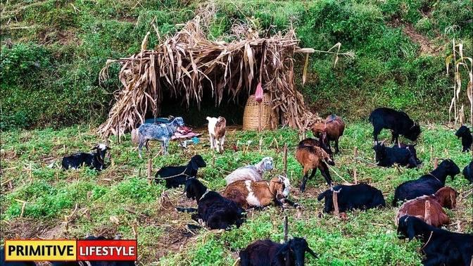 Beautiful Nepali Mountain Village Simple Happy Lifestyle | Rural Nepal ...