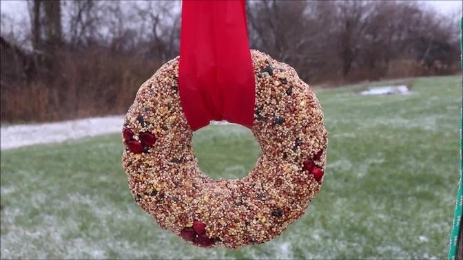 DIY Birdseed Wreath ~ Feeding the birds