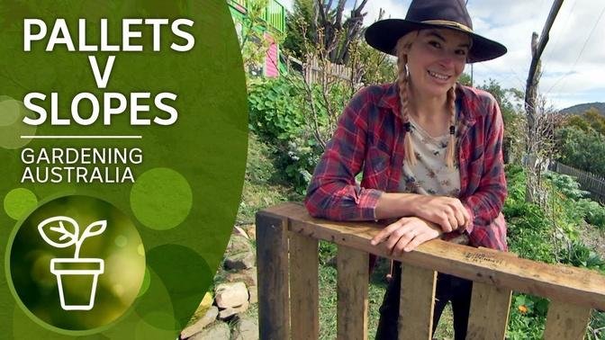 Garden on a slope with heat-treated pallets | DIY Garden projects | Gardening Australia