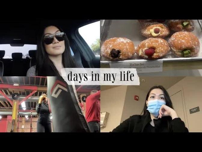 Vlog: weekly workouts, day in the life at work, trying out boxing, & ramen night! | Mimi Le