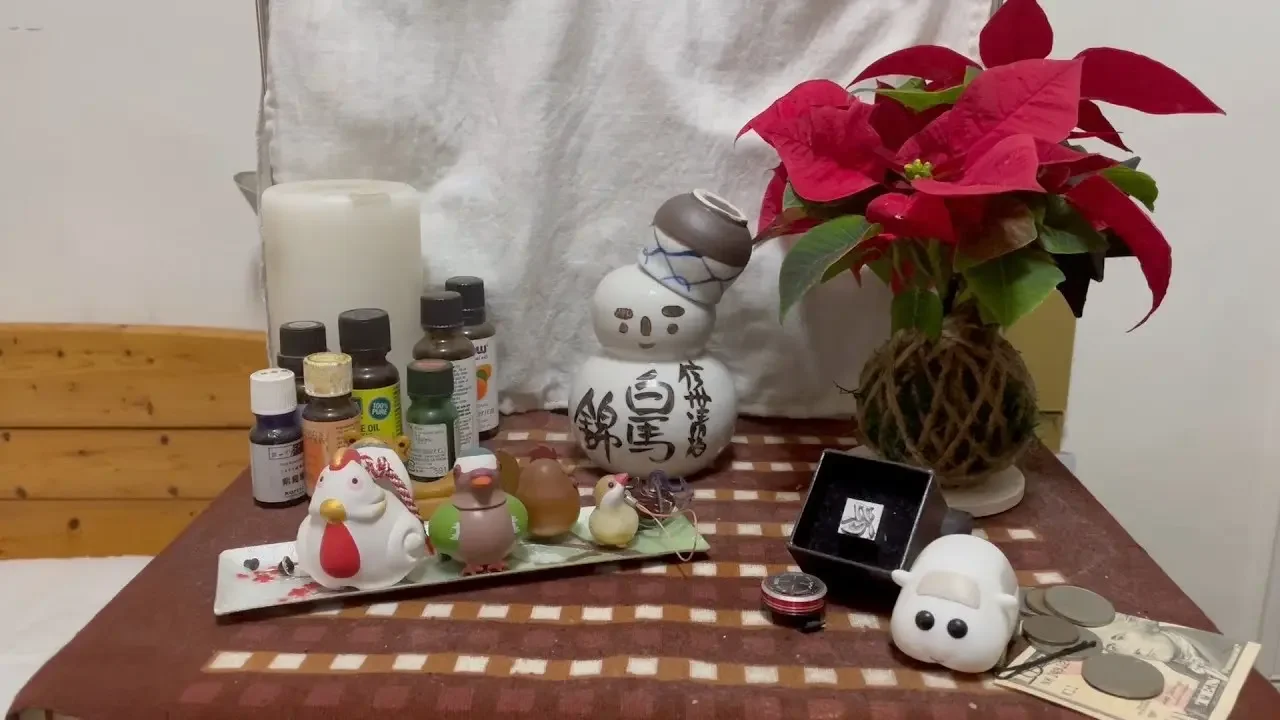 聖誕快樂之聖誕紅苔球