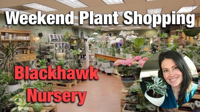 Weekend Plant Shopping - Blackhawk Nursery Charlotte, NC - Finding A Wishlist Plant