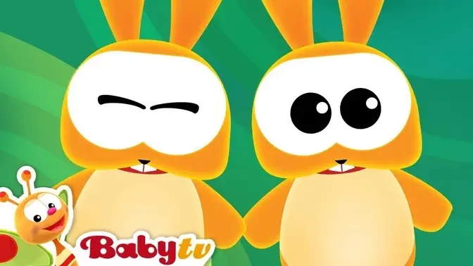 Animal Songs | Nursery Rhymes and Songs for kids | @BabyTV