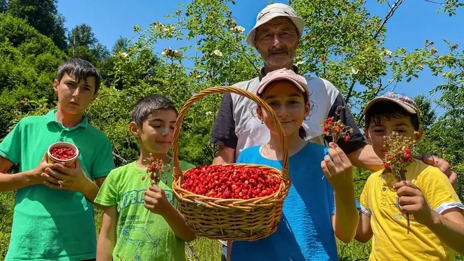 Harvest real wild berries in the mountains to make the best dessert for the whole family