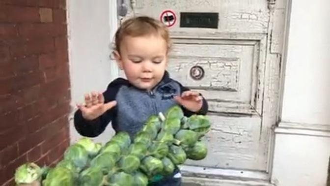 Adorable baby's mind is blown by strange looking vegetables