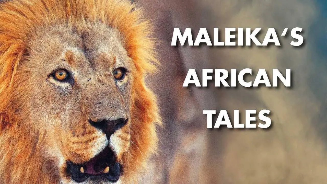 Lions: The King of the Beasts