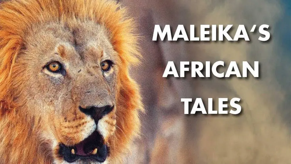 Lions: The King of the Beasts