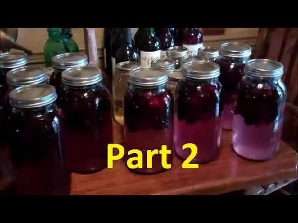 How To Make Easy Homemade Wine~Part 2 (Making Blackberry Wine)