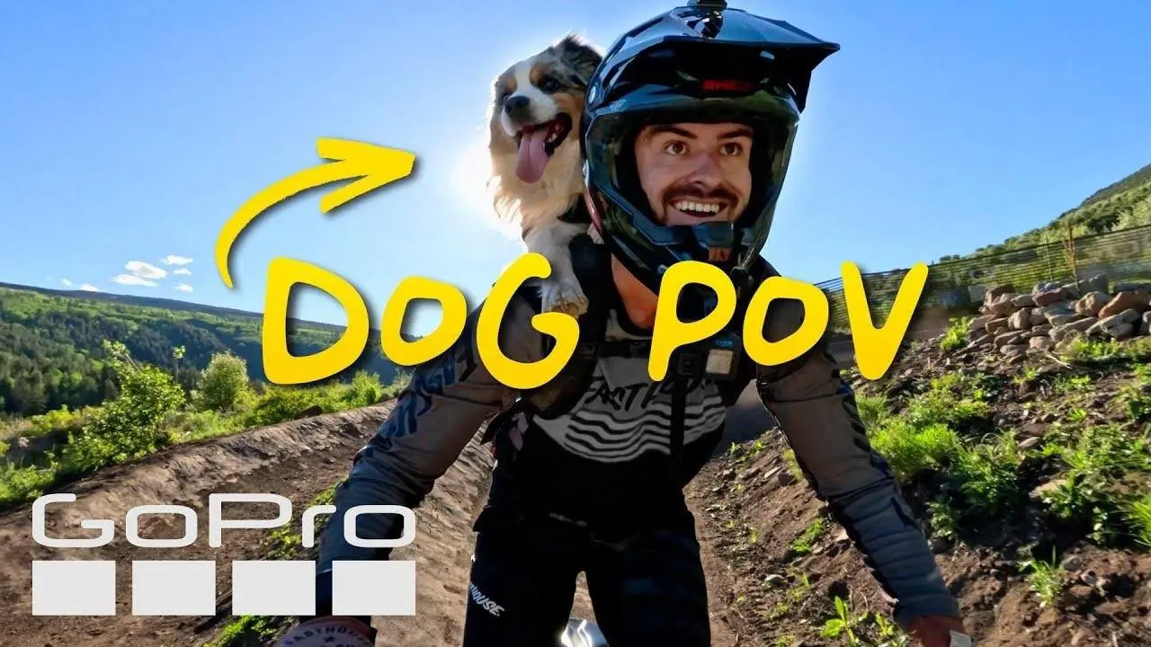 GoPro Mountain Games | A Dog's Perspective