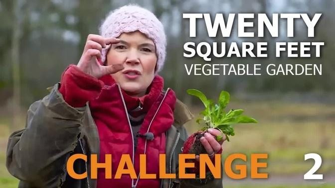20 Square Feet Vegetable Garden Challenge – in a raised bed, part 2