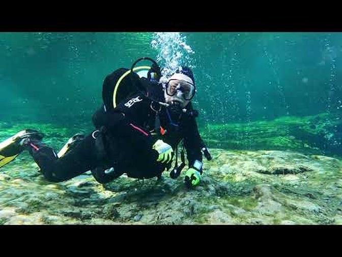 November 2022 Florida Scuba Diving Adventures