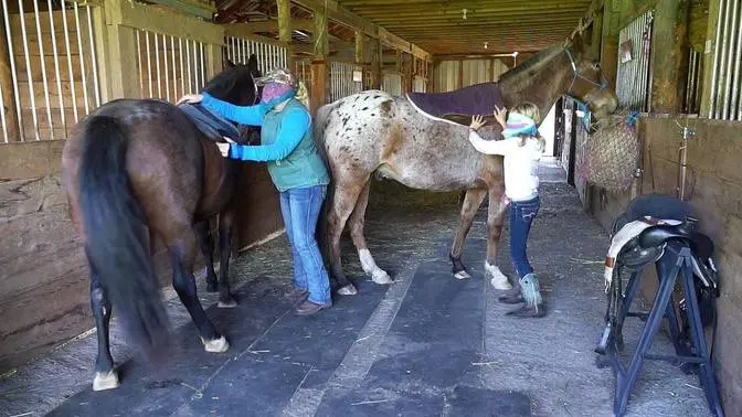 Tacking up Horses Blindfolded!