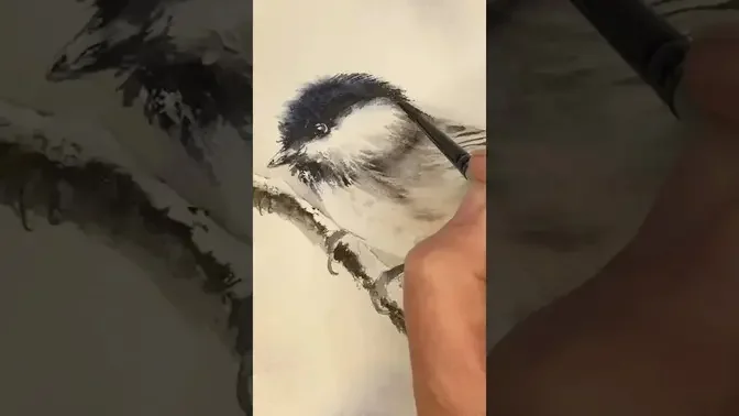 How To Paint A Bird In Watercolour