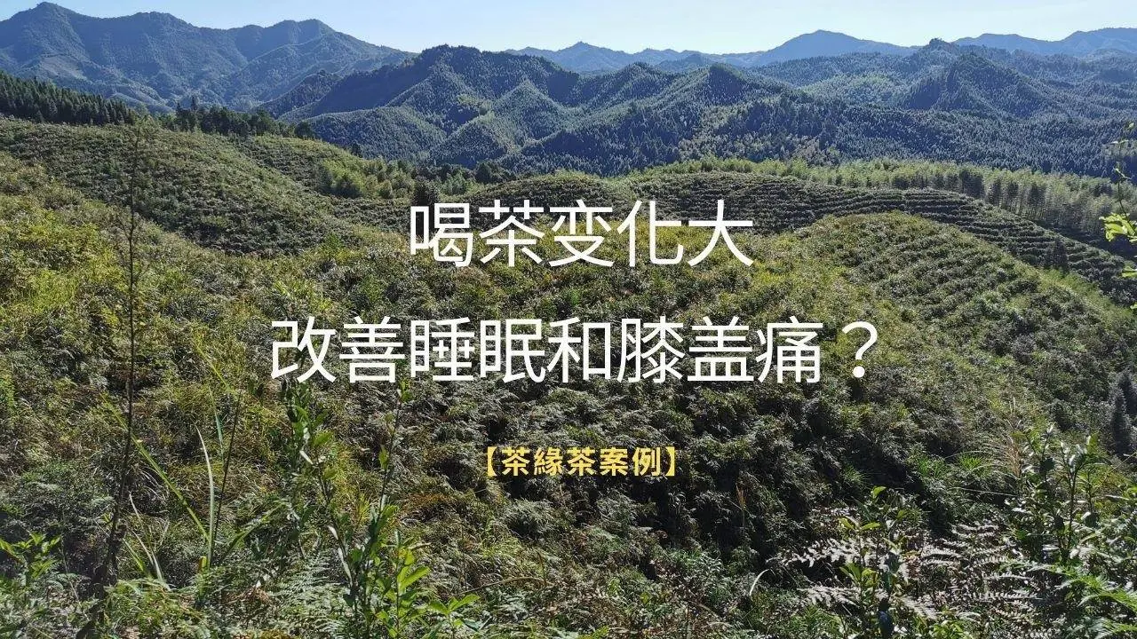 【茶緣茶疗】喝茶改善睡眠 膝盖疼痛也消减？