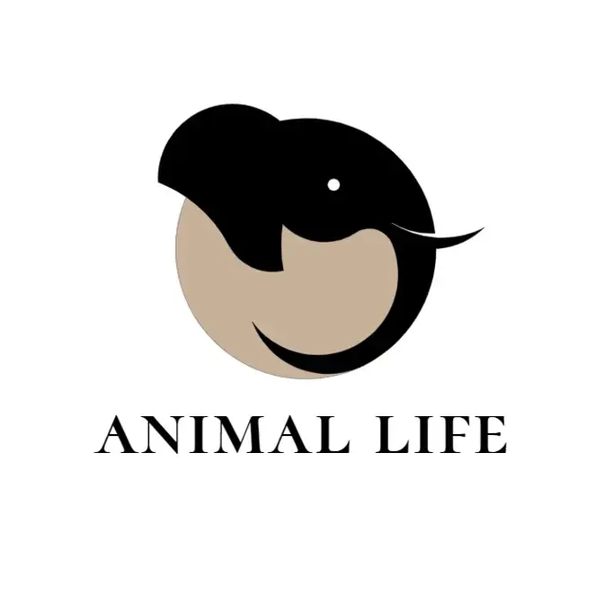 Animal Life