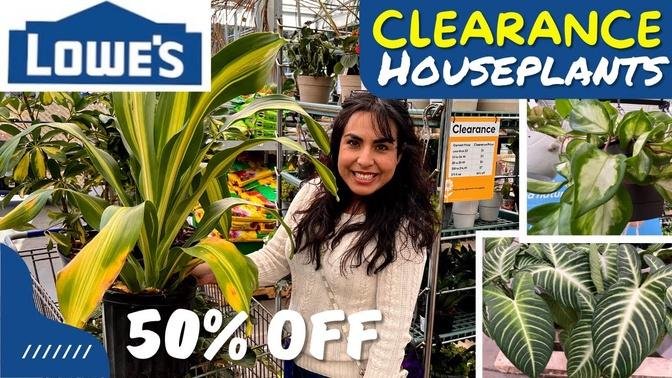 CLEARANCE HOUSEPLANTS SHOPPING DAY! CAN’T BELIEVE WHAT I FOUND AND THE GREAT PRICES!!