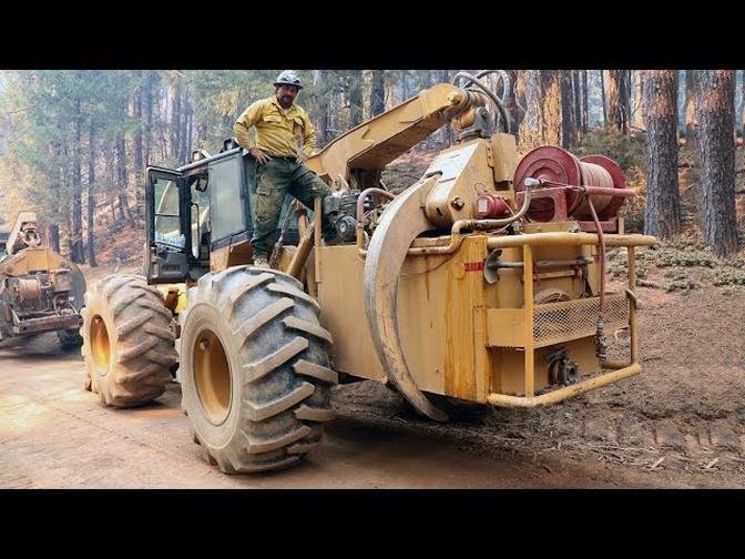 Awesome Machine! Tree Logging - Process of harvesting trees #2