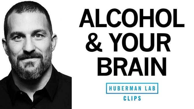 What Alcohol Does to Your Brain | Dr. Andrew Huberman