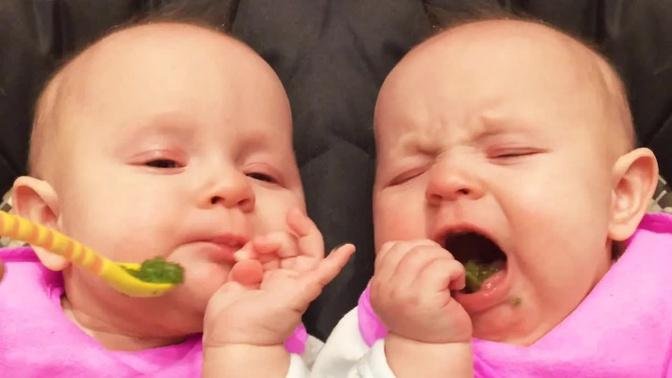 Funniest Baby Eating Moments - Baby Reactions || Cool Peachy