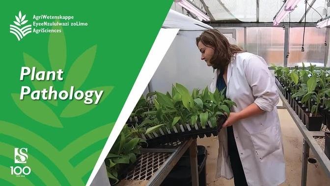 Watch this video if you want to study Plant Pathology | Stellenbosch University
