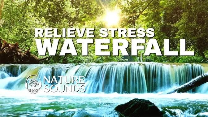 Nature Sounds Forest Sounds Waterfall Water Sounds Relaxing Nature Sounds Waterfall Sounds