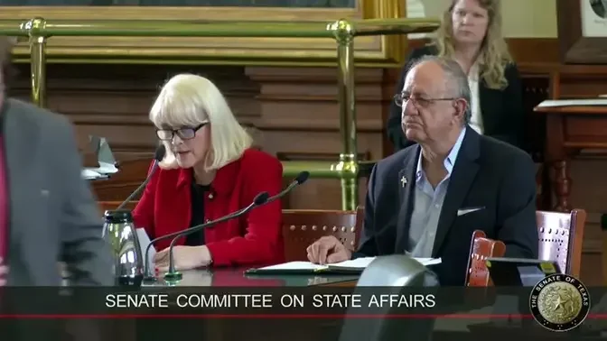 WATCH: Harris County GOP Chair Cindy Siegel Senate Testimony