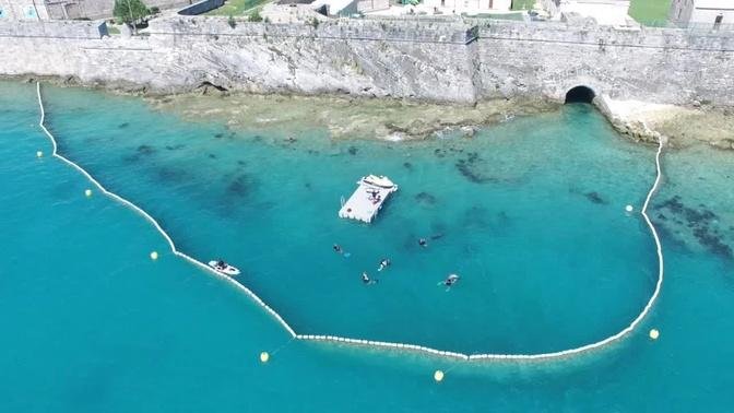 Dolphin Quest Bermuda’s Large, Natural Ocean Sanctuary for Dolphins